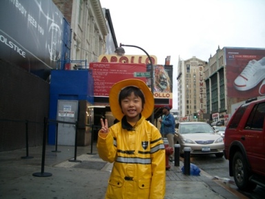 Taiga in NY