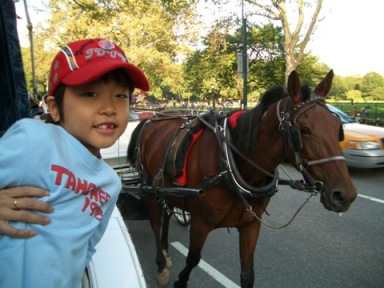 Taiga in NY